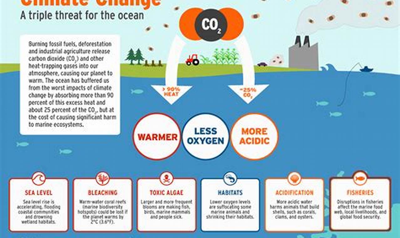 Unveiling the Mysteries of Ocean Climate Change Effects