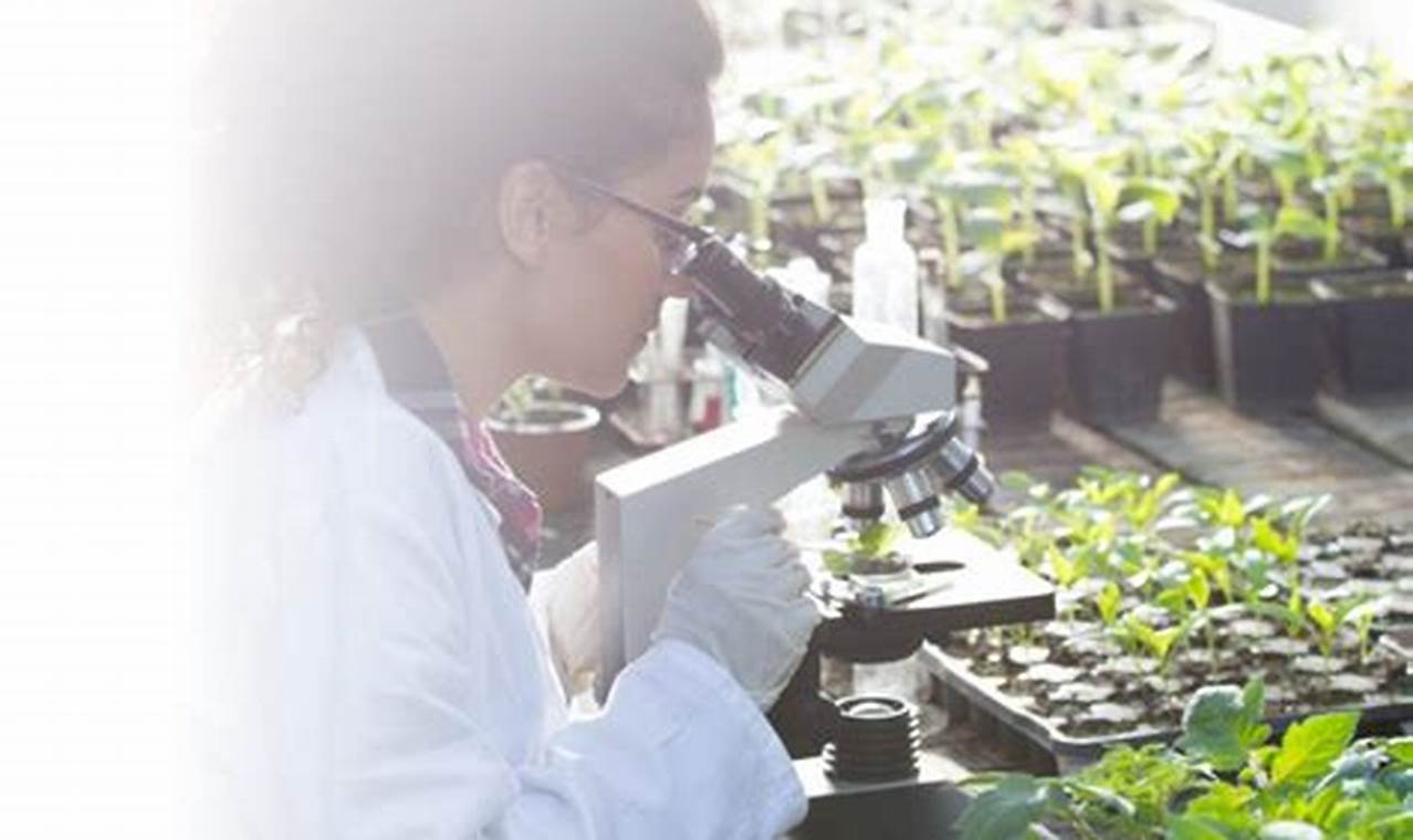 Tips for Choosing the Right Online Biotechnology Master's Degree