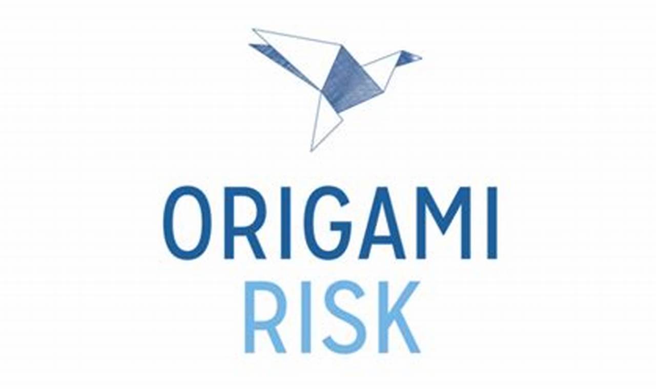 origami risk account name