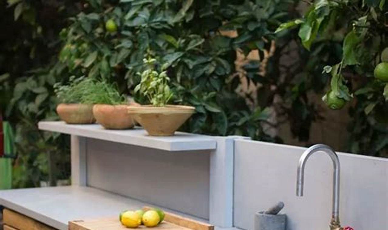 outdoor kitchen sink