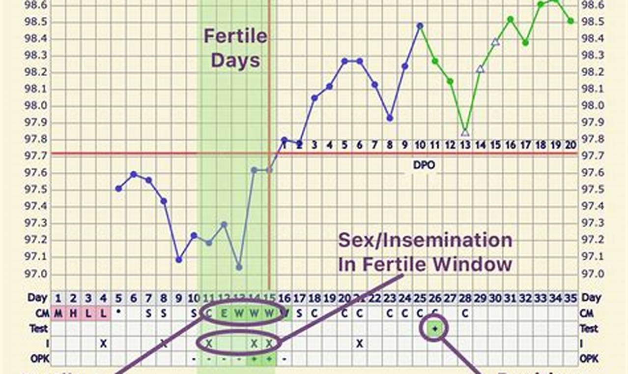 Ovulation Chart Example Pregnant