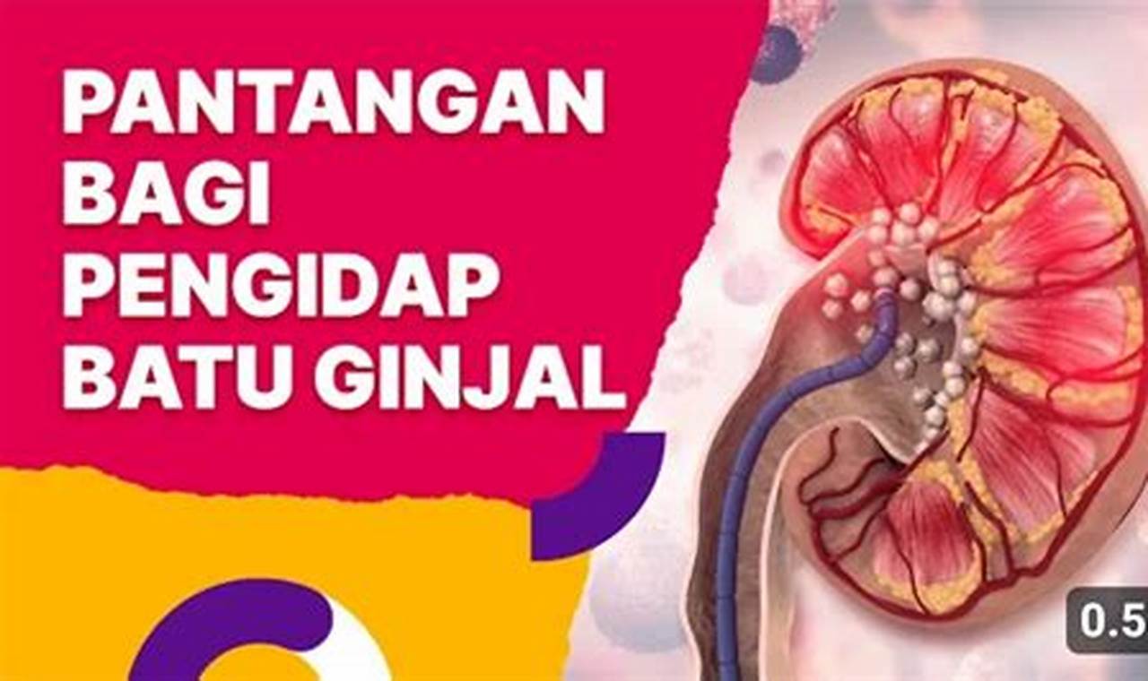 Pantangan Penyakit Ginjal: Panduan Lengkap dan Eksklusif untuk Kesehatan Ginjal Anda