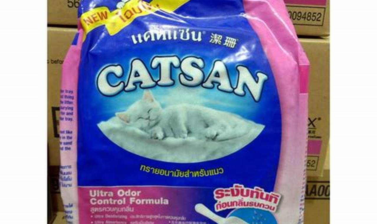 Jenis Pasir Kucing Terbaik dan Cocok untuk Kucing