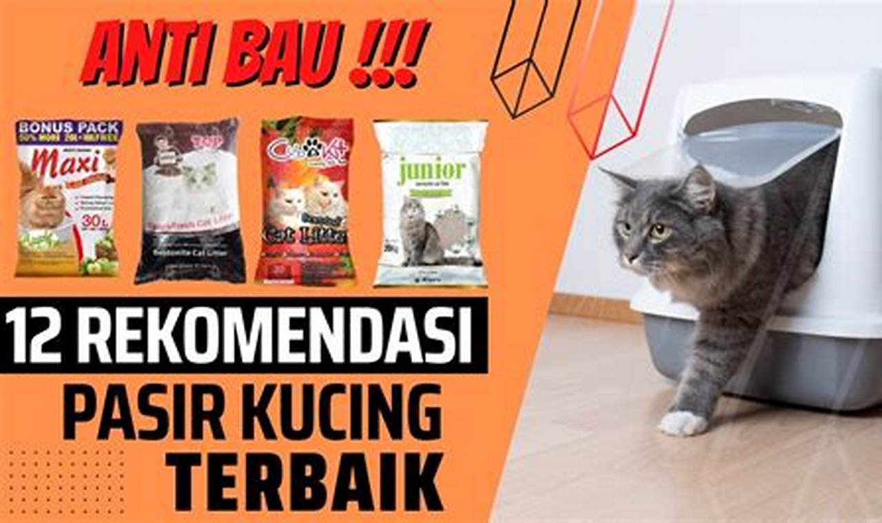 Pasir Kucing Terbaik untuk Kenyamanan dan Kebahagiaan Kucing Anda