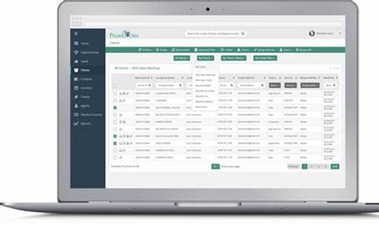 Pegasus CRM: The Solution for Seamless Customer Relationship Management