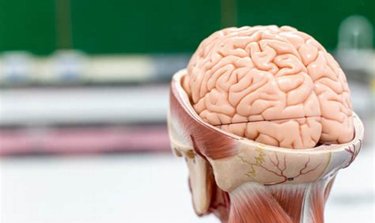Penyakit Kuru, Benarkah Akibat Makan Otak Manusia?