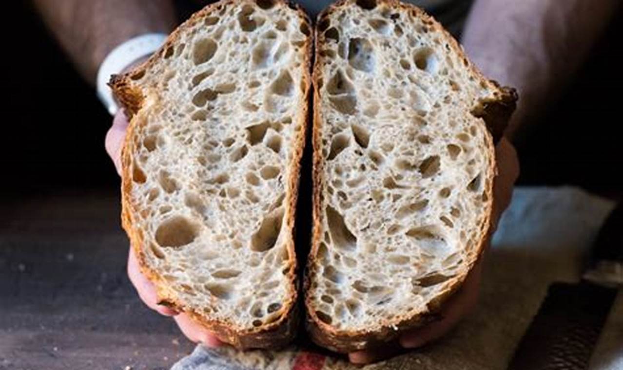 The Perfect Loaf Sourdough Starter: A Guide for the 'R' Enthusiast