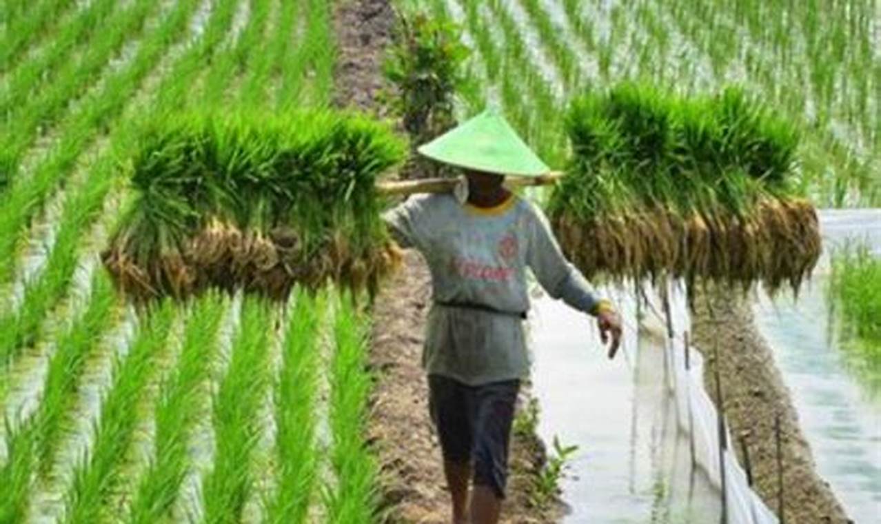 Pertanian dan Penternakan Masa Depan: Temukan Rahasia untuk Ketahanan Pangan dan Kemakmuran!