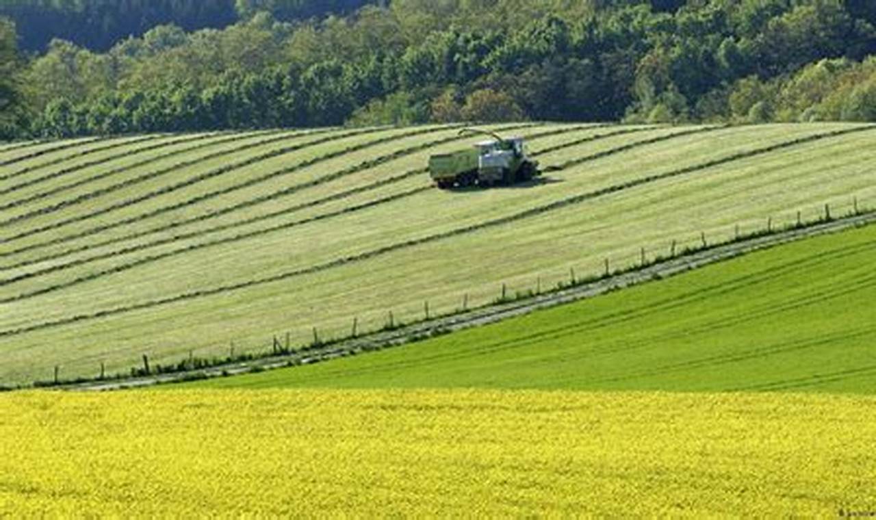 Pertanian Eropa: Penemuan dan Wawasan yang Mengubah Industri