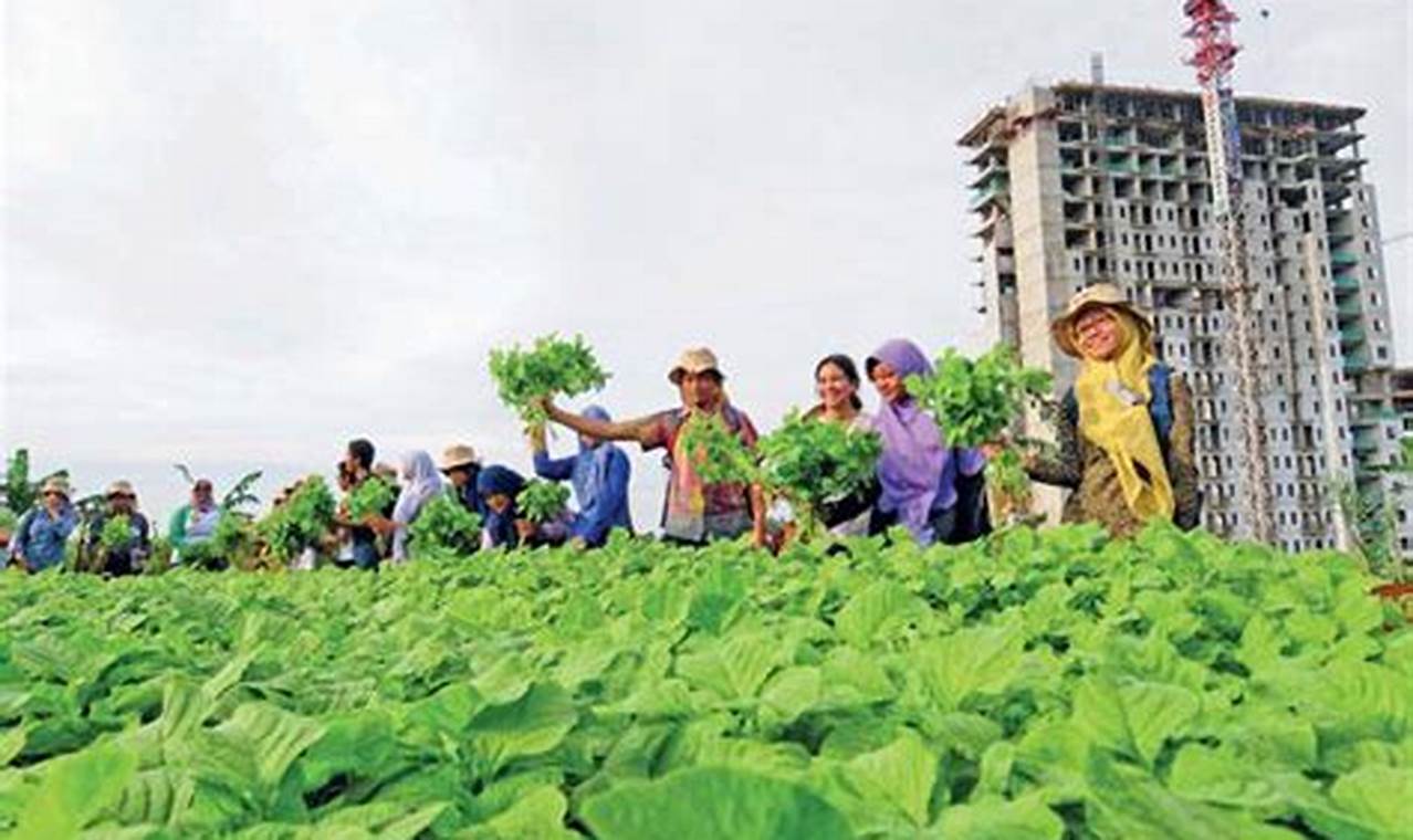 Pertanian Kota: Rahasia Baru untuk Ketahanan Pangan Urban