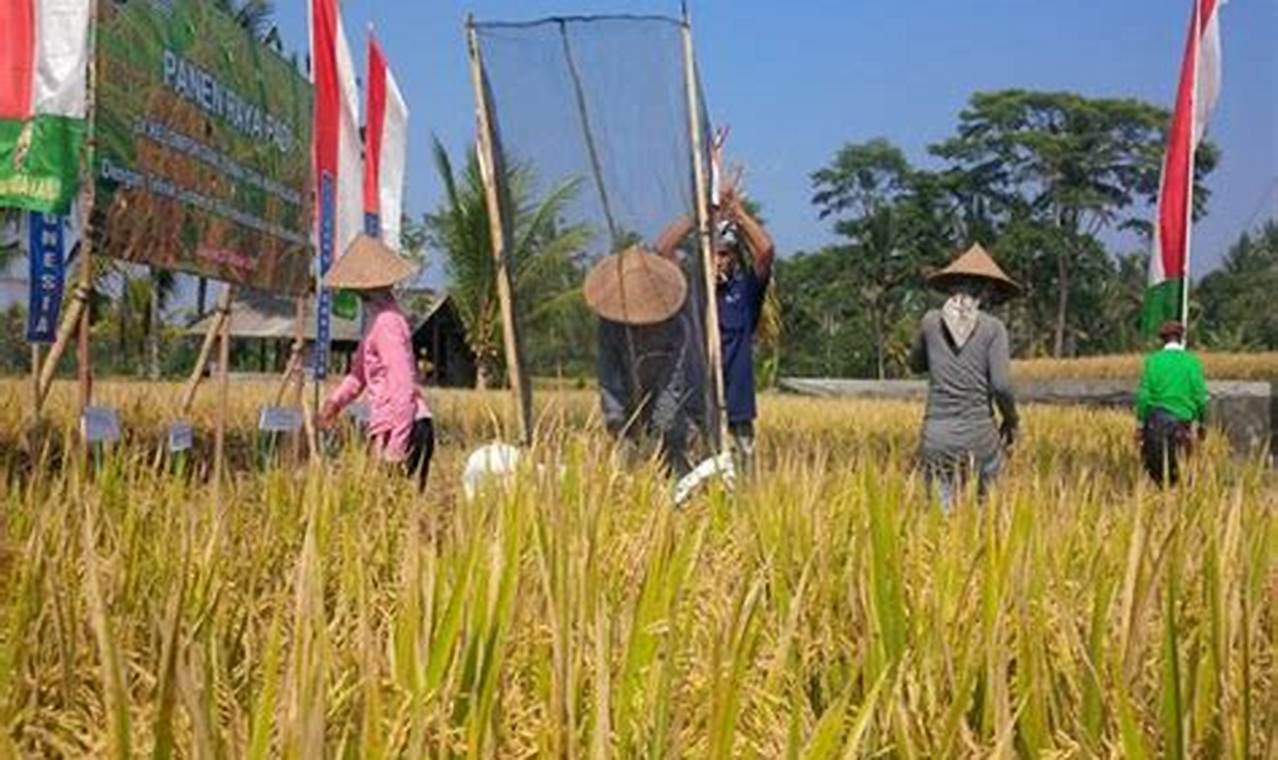 Pertanian Masa Depan: Rahasia Sukses Nusa Tenggara