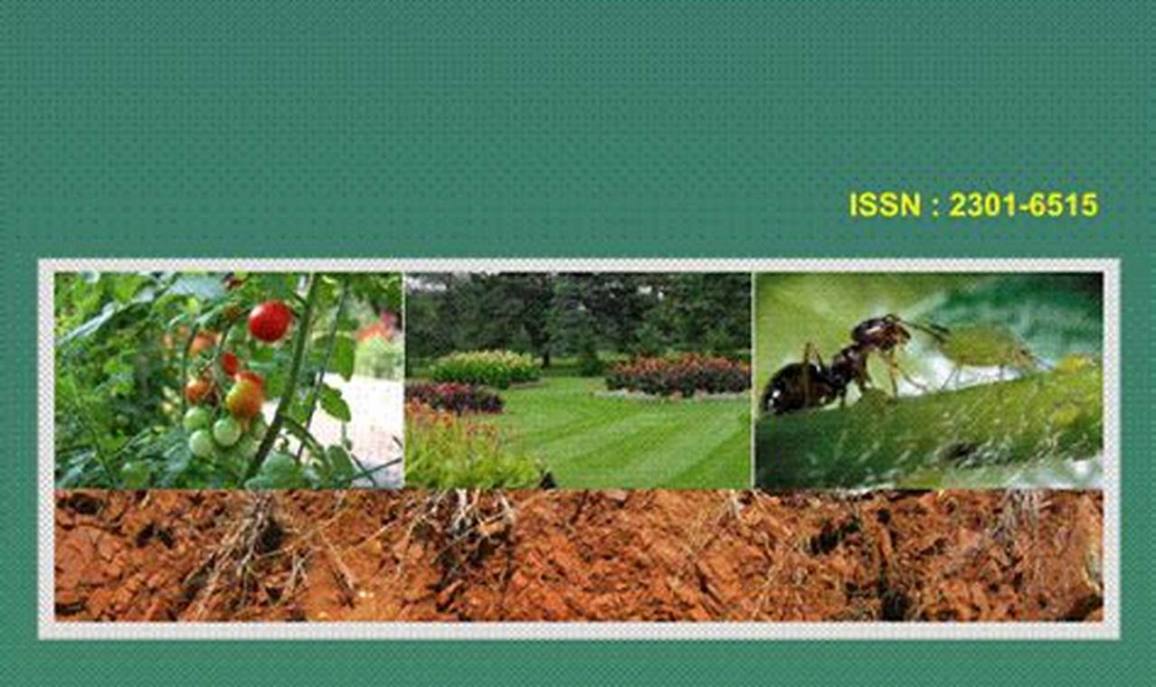 Pertanian Organik: Jurnal Inovasi dan Wawasan Menjanjikan