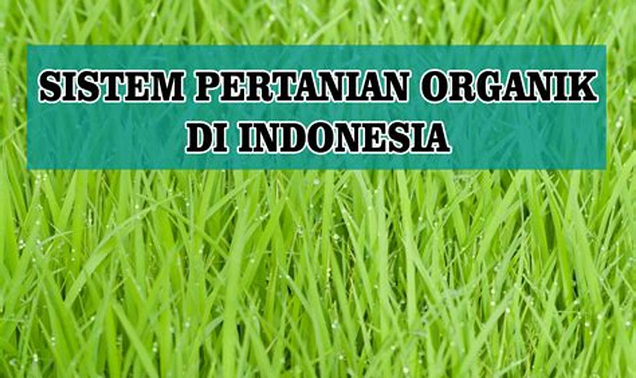 Pertanian Organik Indonesia: Inovasi dan Wawasan Terbaru