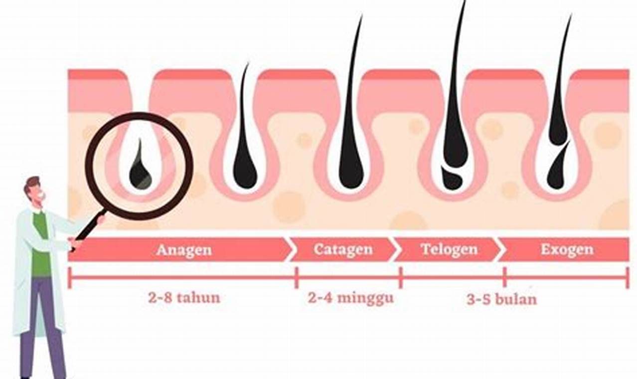 Pertumbuhan Rambut dalam Sebulan: Rahasia Rambut Indah & Panjang