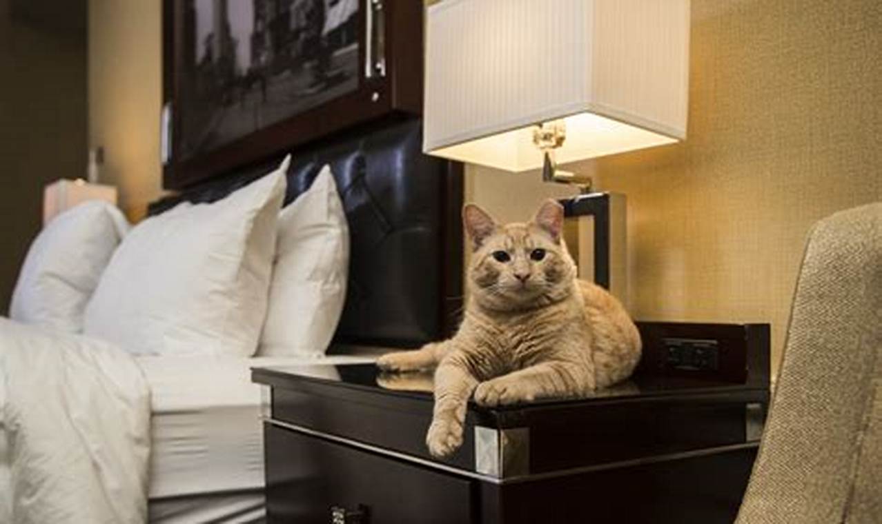 Discover Your Perfect Pet-Friendly Haven: Unlocking New York City's Hidden Gems