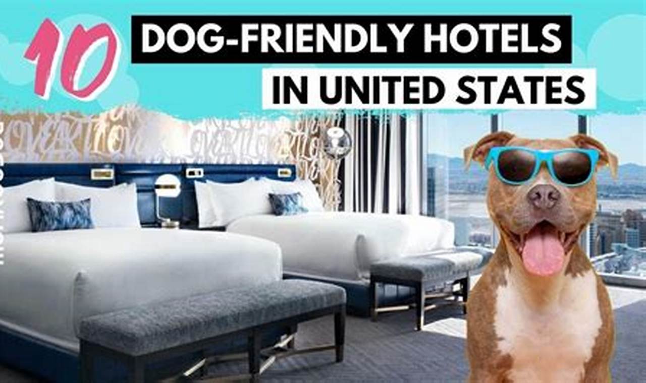 Discover the Ultimate Guide to Pet-Friendly Hotels Along I-95 in New York City