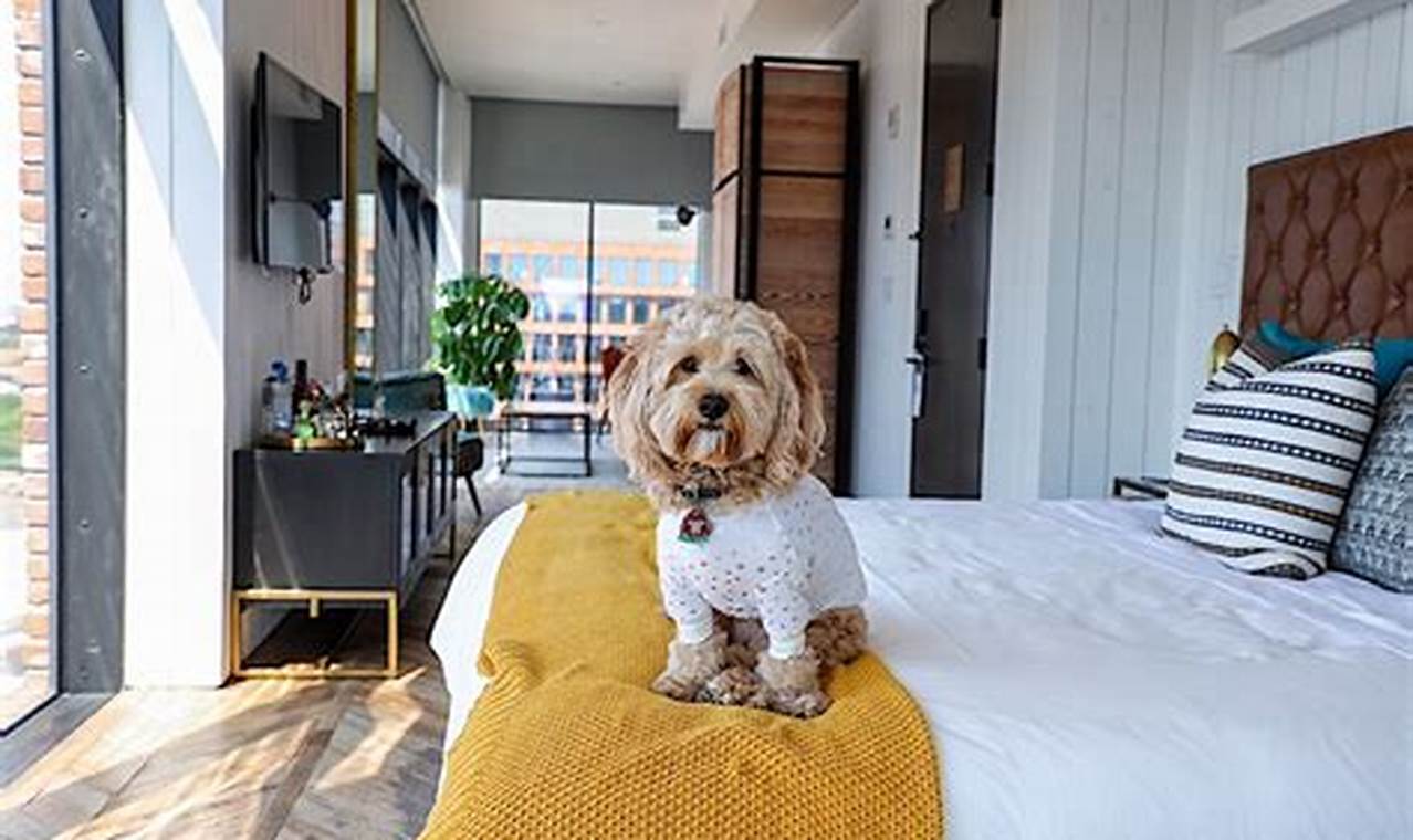 Discover 10 Irresistible Pet-Friendly Hotels on NYC's Gold Coast