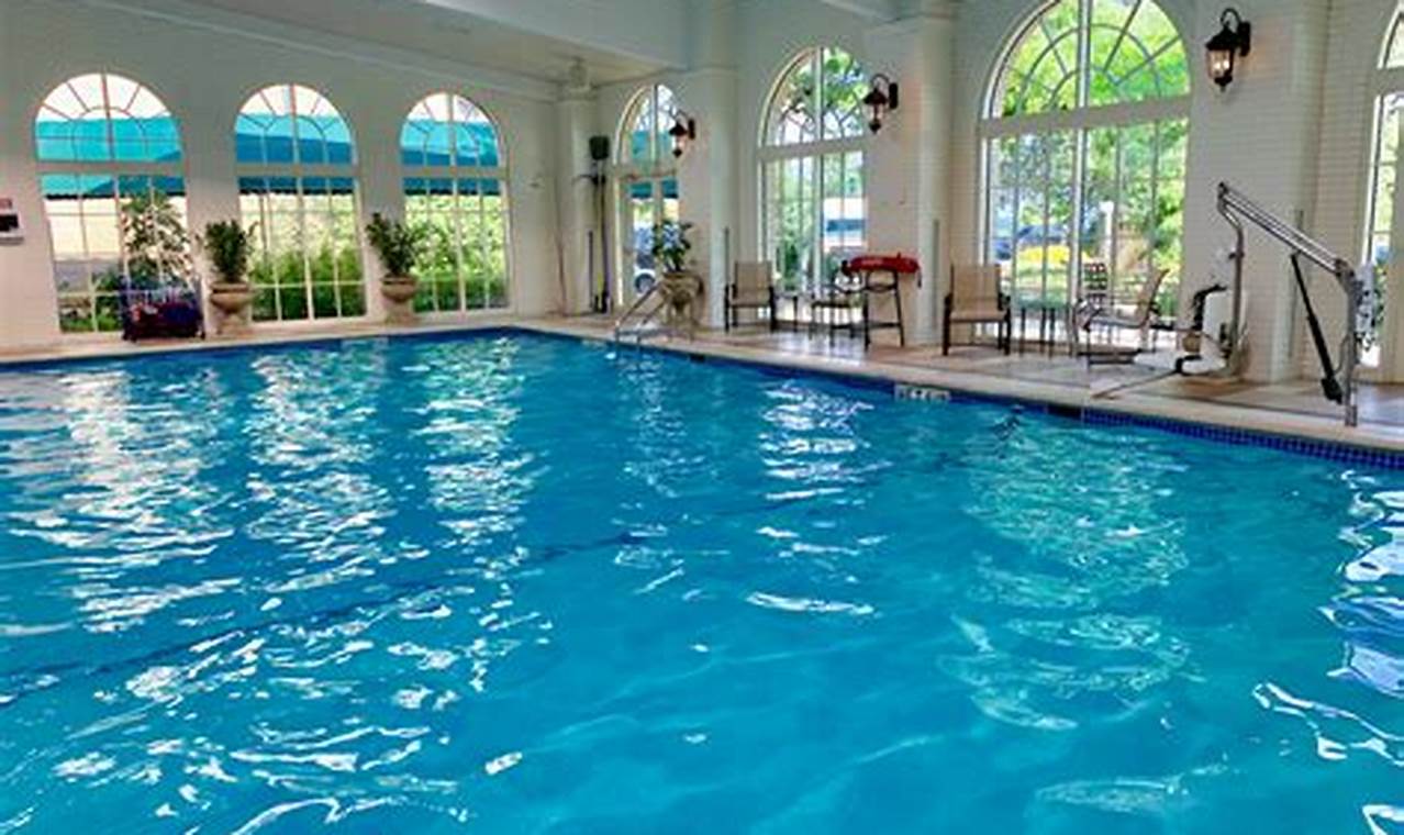 Discover 15+ Pet-Friendly NYC Hotels with Indoor Pools