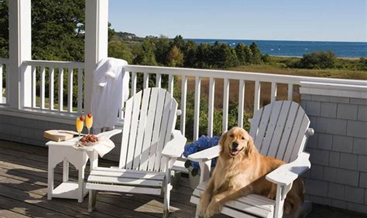 Unleash the Ultimate Pet-Friendly Beach Getaway in NYC: Discover 10 Paw-some Hotels with Exclusive Insights