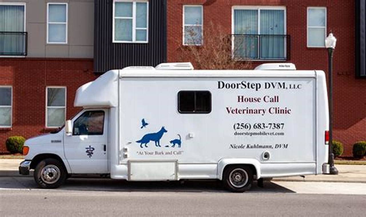 Discoveries and Insights: Revolutionizing Pet Care with Mobile Vet Clinics