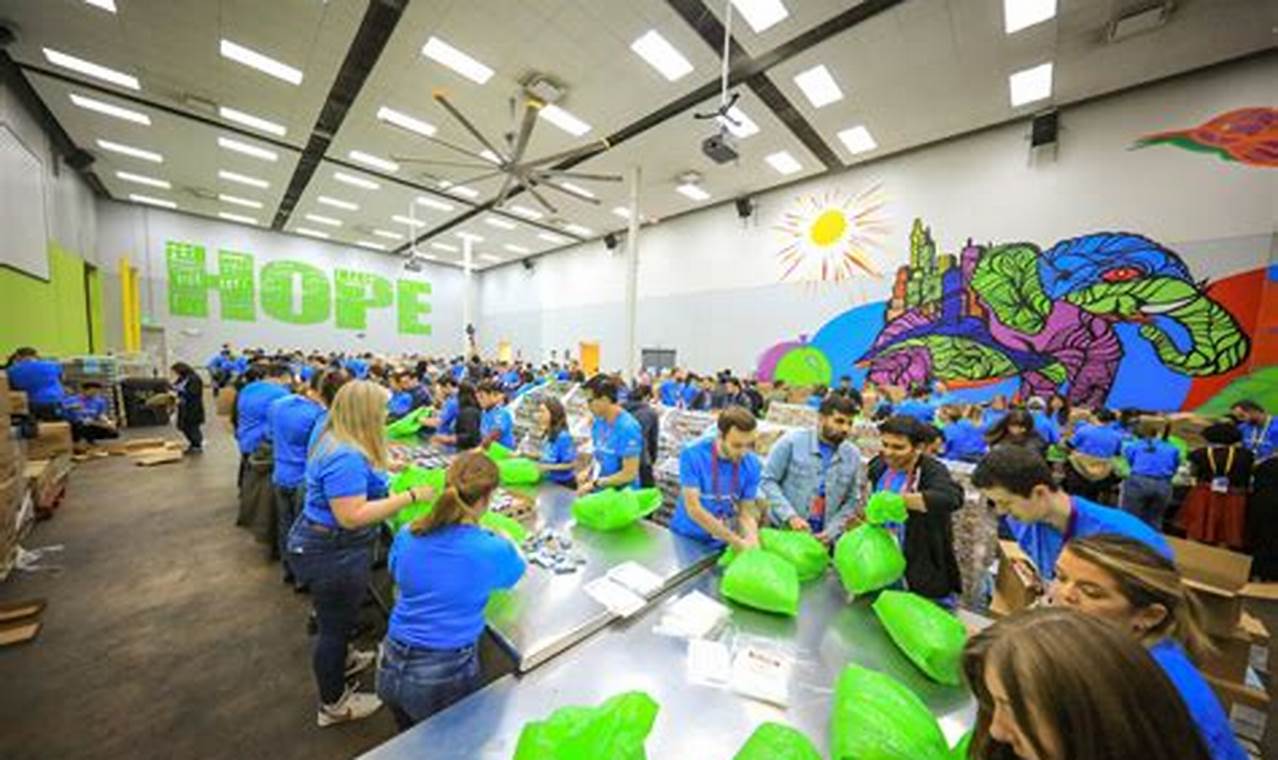 Volunteering Opportunities in Houston: Making a Difference in Your Community