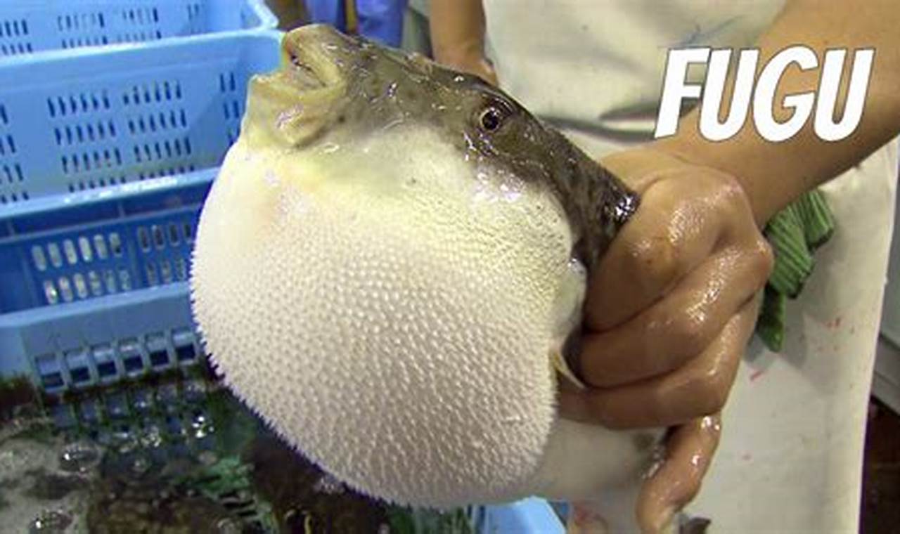 How to Savor Japan's Poisonous Sea Delicacy Safely: A Traveler's Guide to Fugu