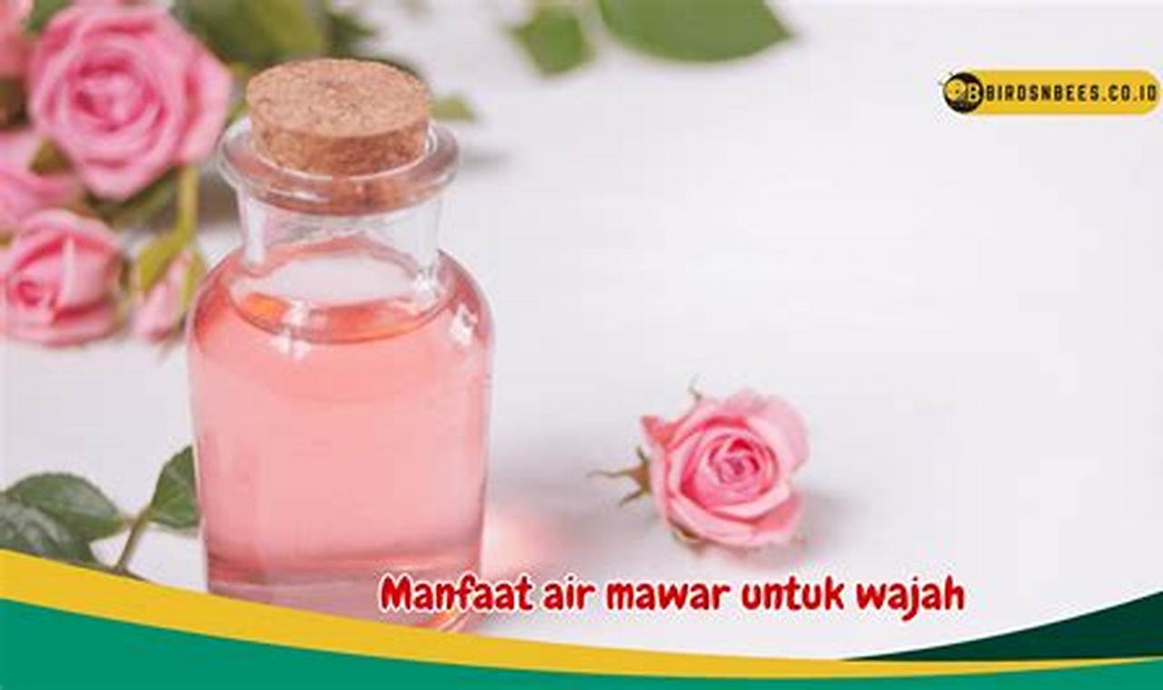 Manfaat Air Mawar untuk Kecantikan Wajah yang Tak Boleh Dilewatkan