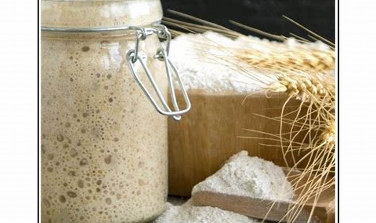 Sourdough Starter Ratio: The Key to Perfect Fermentation and Flavor