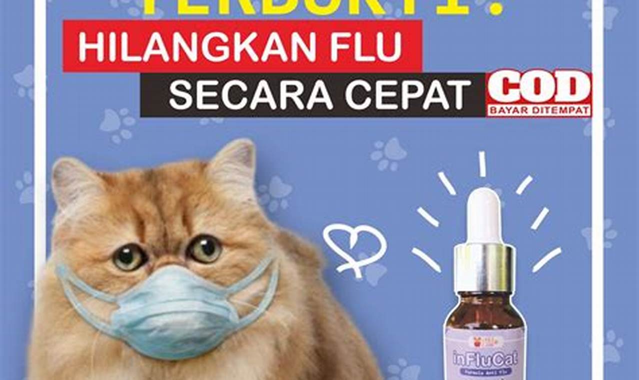 rekomedasi obat kucing demam secara alami