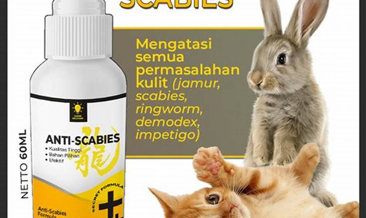 rekomedasi obat kucing scabies