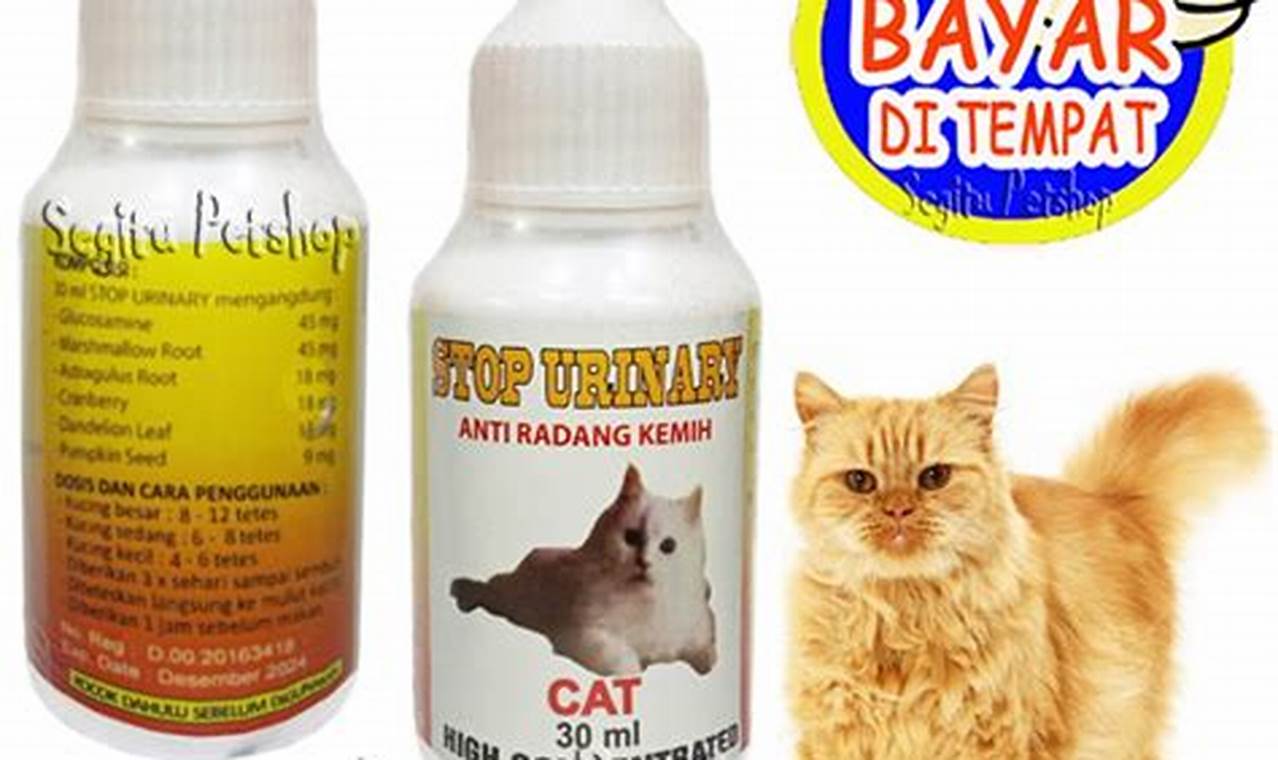 rekomedasi obat kucing susah bab dan kencing