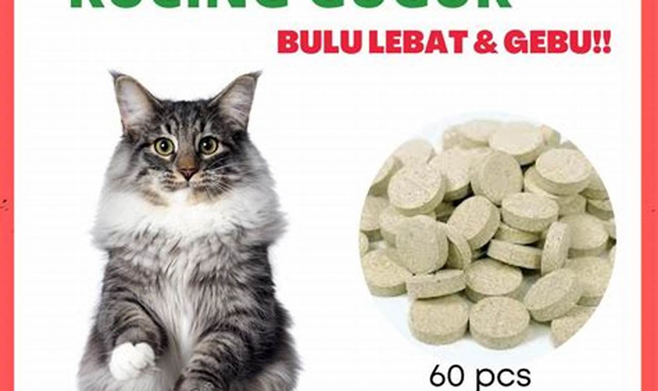 rekomedasi vitamin kucing agar gemuk