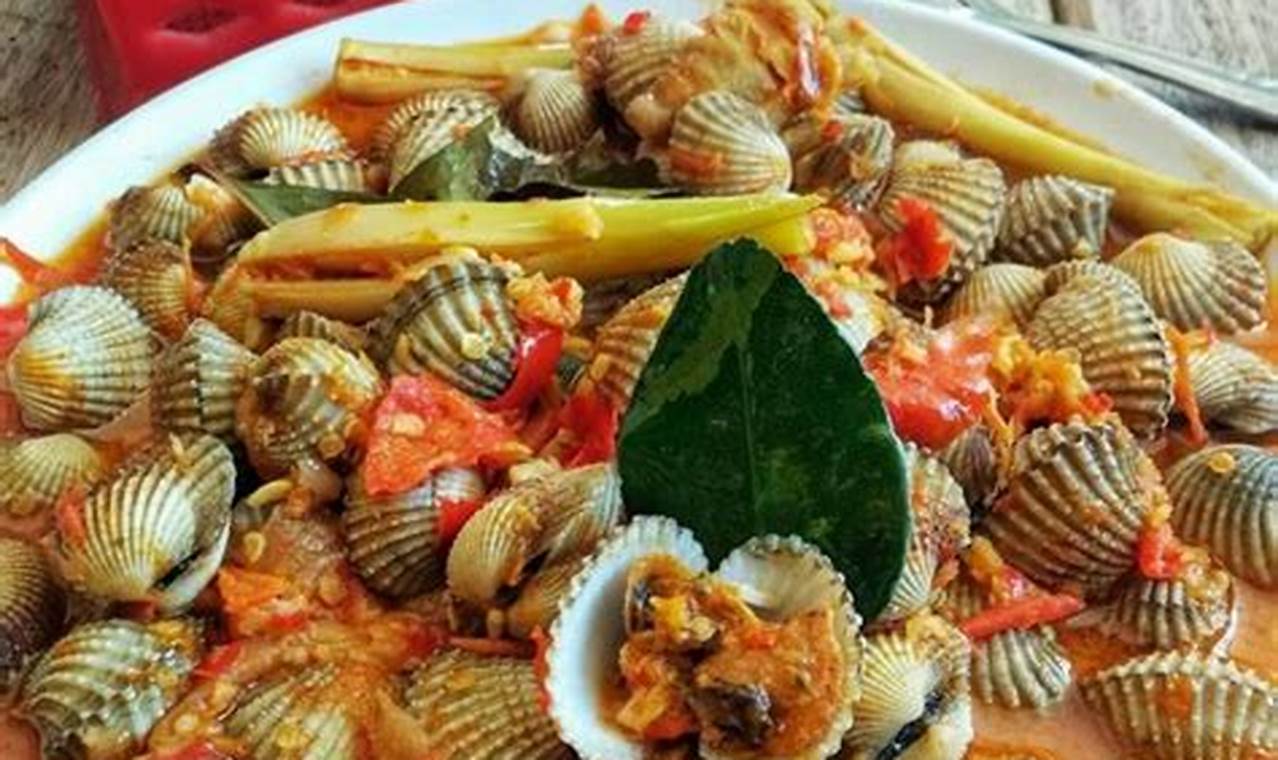 Resep Kerang Dara: Rahasia Kelezatan Seafood Khas Nusantara
