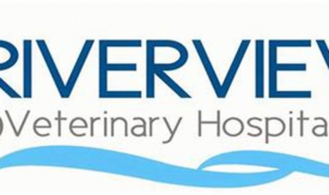 How to Choose the Best Animal Hospital: Riverview Animal Hospital Florida
