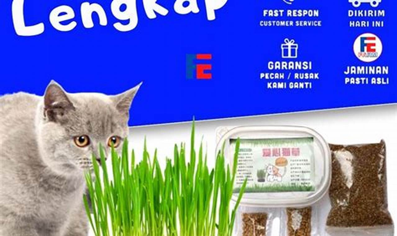 Manfaat Rumput Kucing untuk Kesehatan Kucing Kesayangan Anda