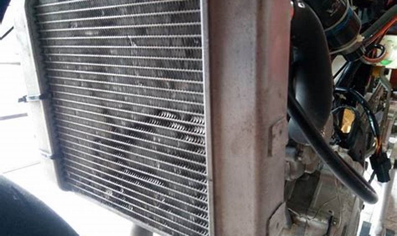 servis radiator motor
