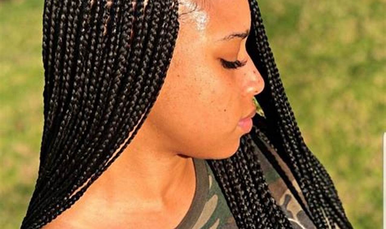 Unlock the Allure of Knotless Braids: A Visual Journey