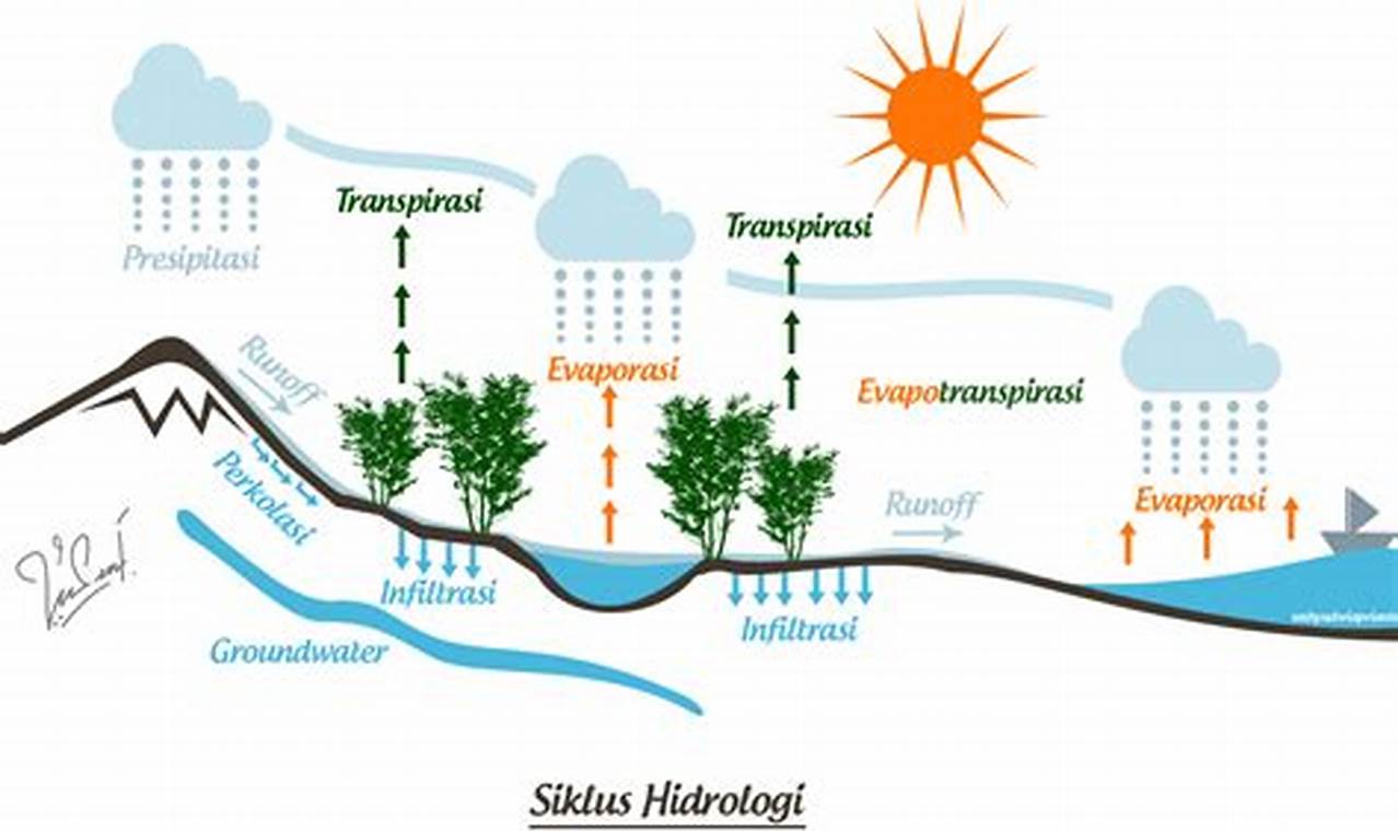Siklus Hidrologi Panjang: Proses Alami yang Menopang Kehidupan di Bumi