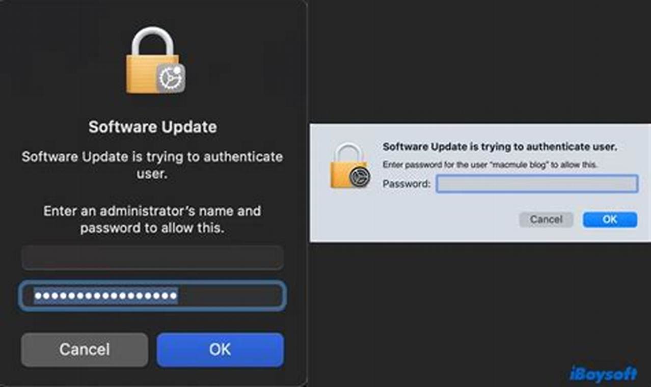 Secure Your Software Updates: Authentication Best Practices