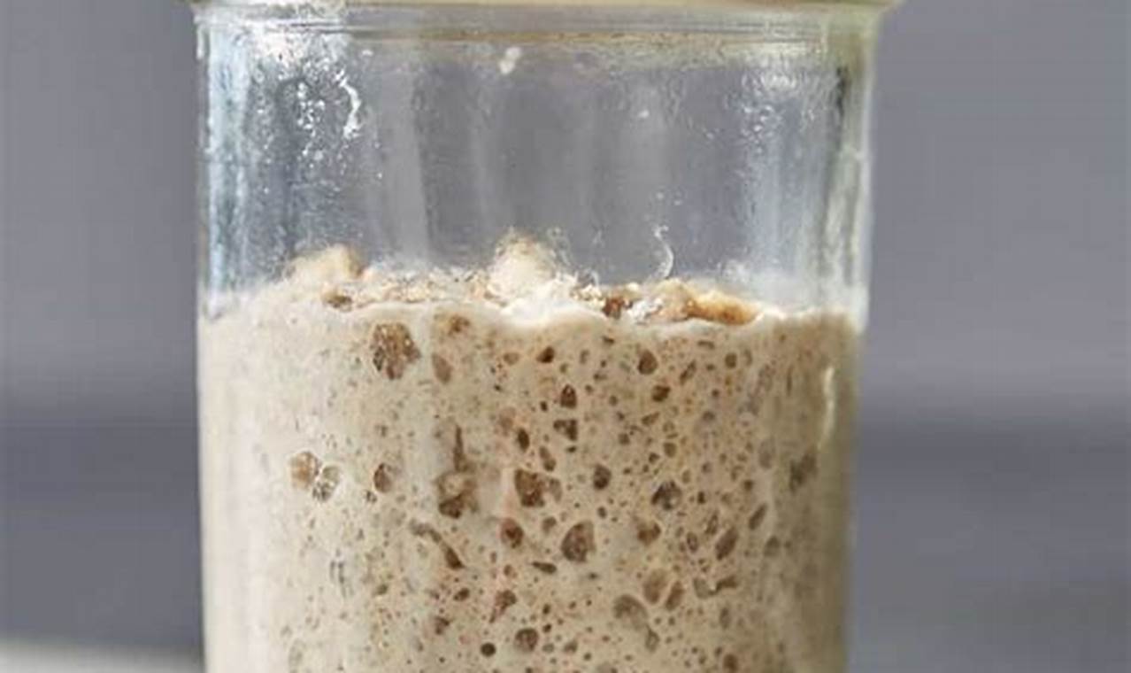 Sourdough Starter 25g: A Baker's Guide to Flavorful Breads