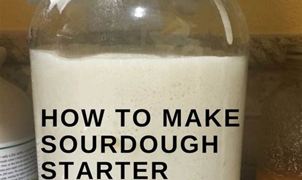 Sourdough Starter 30 Degrees: The Ultimate Guide for Reddit Bakers