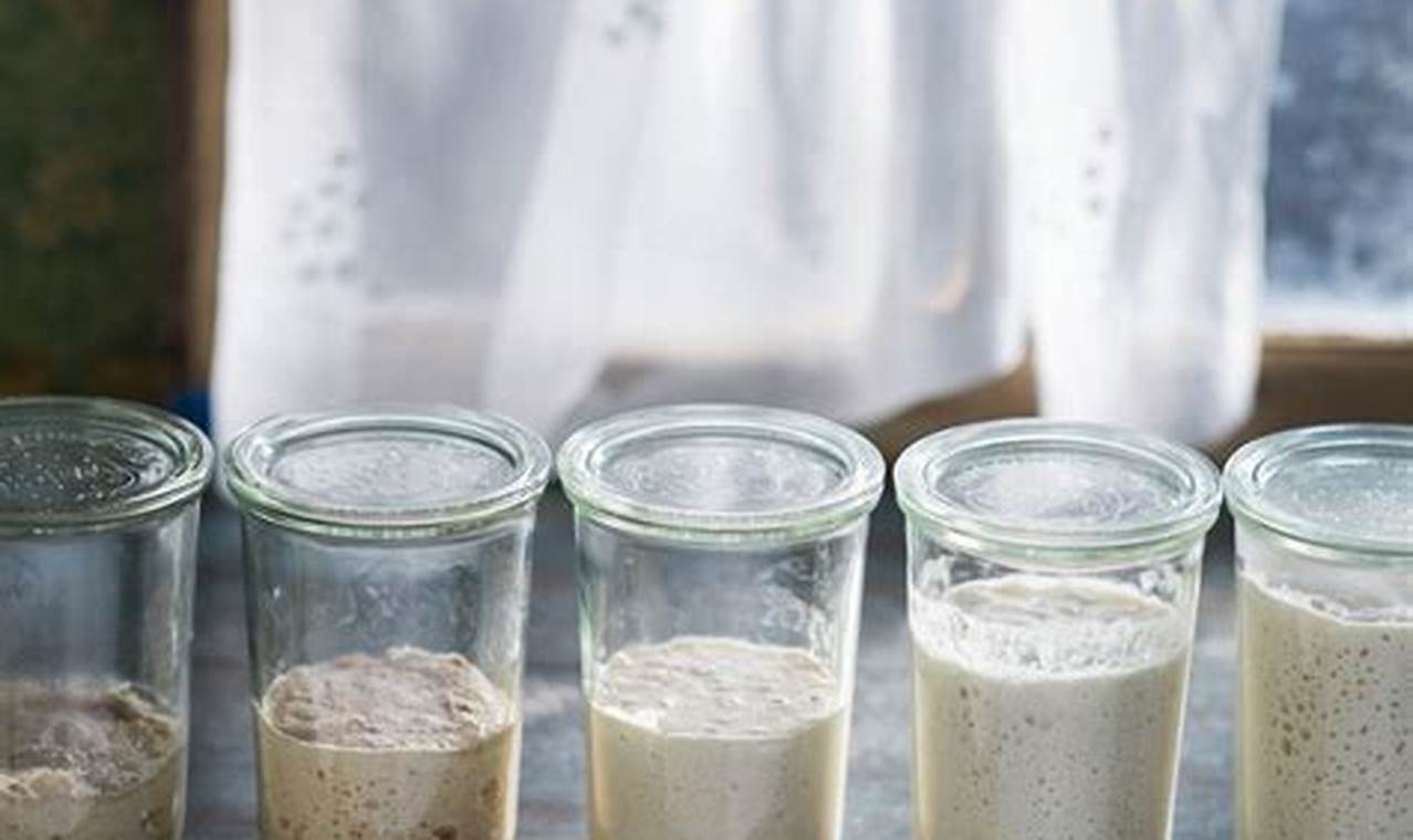 Master the Art of Sourdough: Unleash the Secrets of a Robust 5-Day Starter