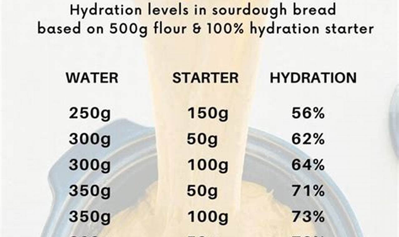 Sourdough Starter 75 Hydration: A Beginner's Guide to Tangy Bread Bliss