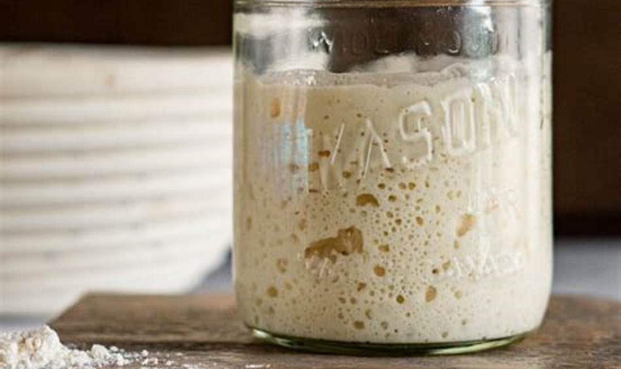 Sourdough Starter Jar: A Beginner's Guide to Crafting Tangy Bread
