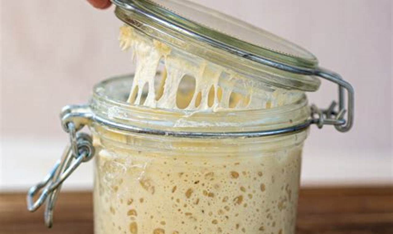 Sourdough Starter with Bread Flour: A Guide to Craft Tangy, Artisan Bread at Home