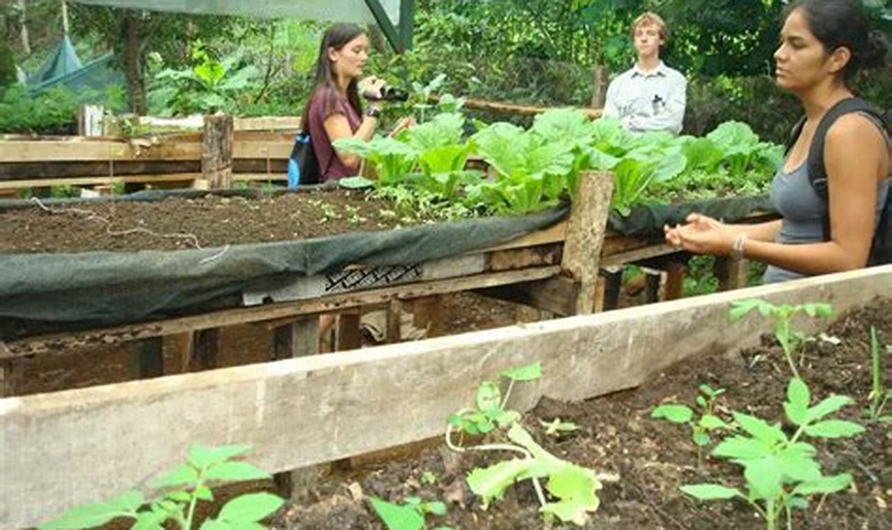 Discover Sustainable Living in Costa Rica: Uncover the Secrets to a Greener Lifestyle