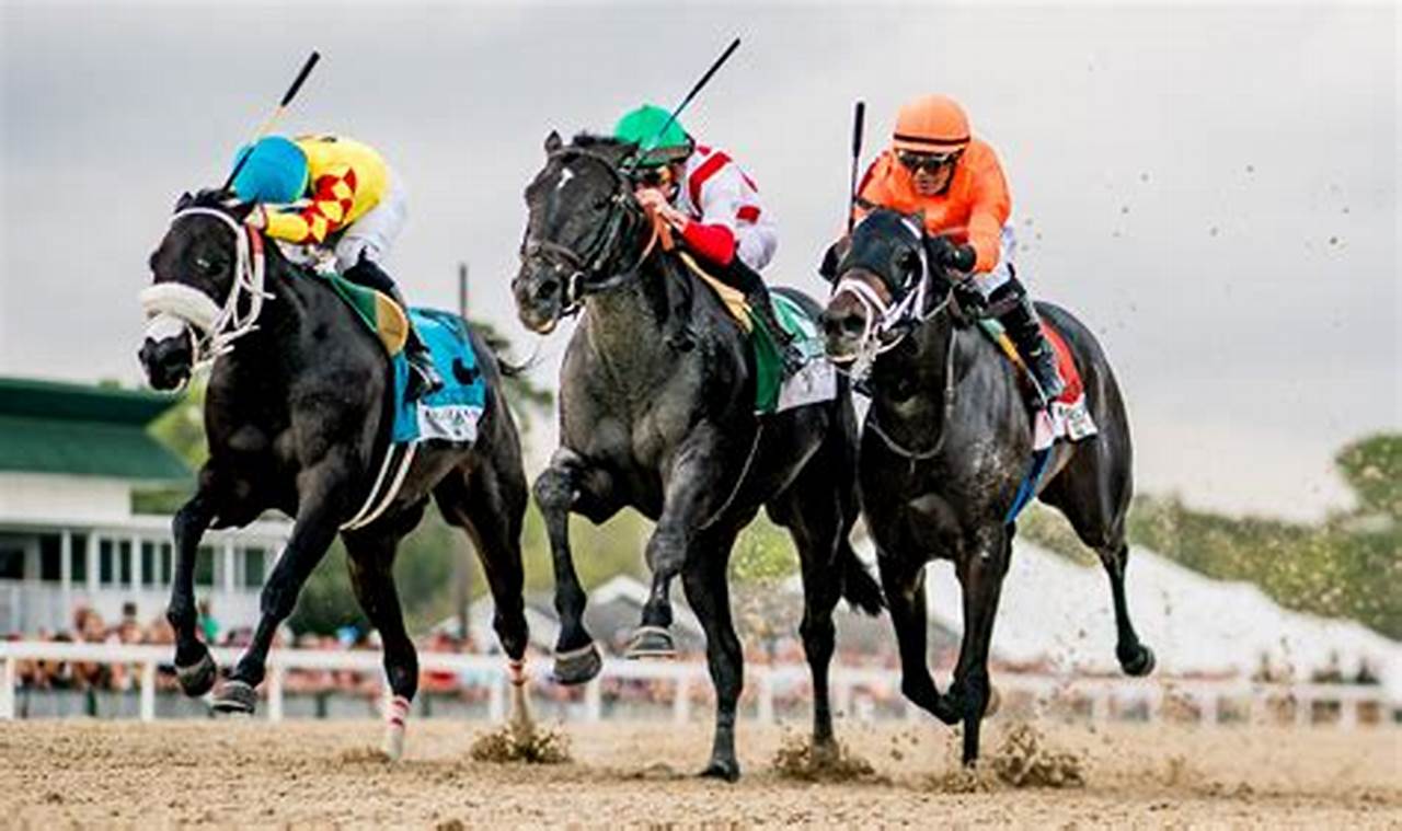 Tampa Bay Derby 2024 Replay