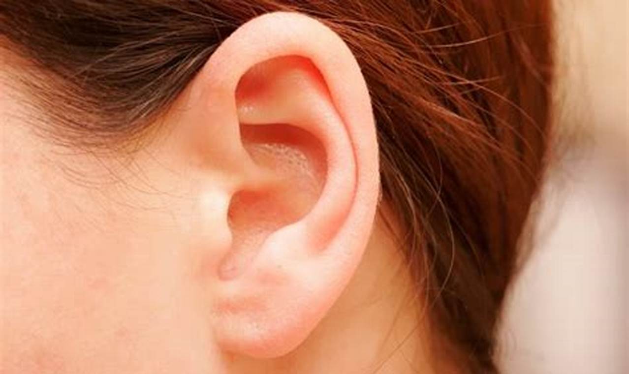 Atasi Telinga Tersumbat? Coba Simak Rekomendasi Obat Telinganya