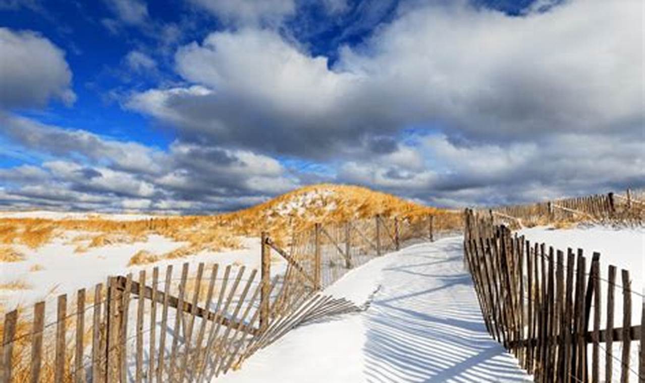 Discover Cape Cod's Winter Wonderland: A Guide to Unforgettable Experiences