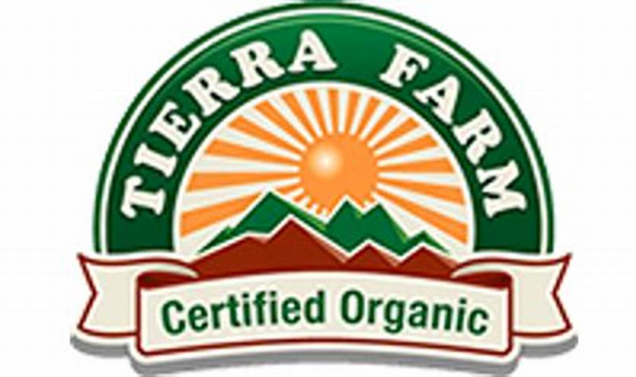 Unveiling the Secrets of Sustainable Produce: Discover the Tierra Farms Legacy